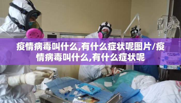 疫情病毒叫什么,有什么症状呢图片/疫情病毒叫什么,有什么症状呢