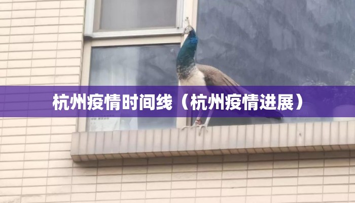 杭州疫情时间线（杭州疫情进展）