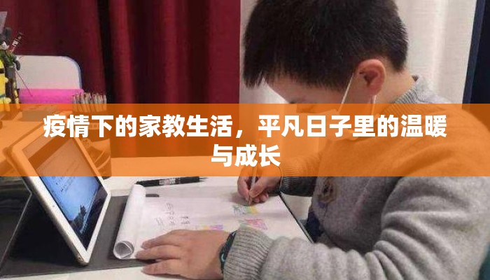 疫情下的家教生活，平凡日子里的温暖与成长