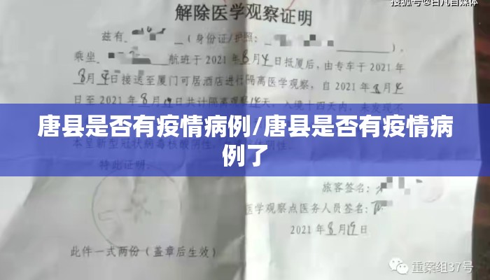 唐县是否有疫情病例/唐县是否有疫情病例了