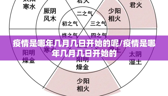 疫情是哪年几月几日开始的呢/疫情是哪年几月几日开始的