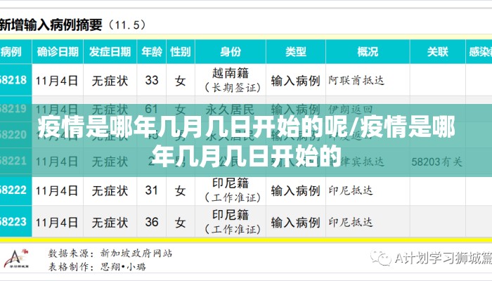 疫情是哪年几月几日开始的呢/疫情是哪年几月几日开始的