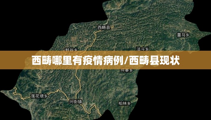 西畴哪里有疫情病例/西畴县现状