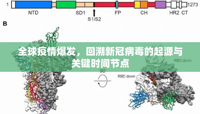全球疫情爆发，回溯新冠病毒的起源与关键时间节点