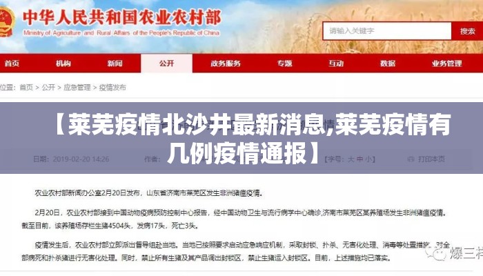 【莱芜疫情北沙井最新消息,莱芜疫情有几例疫情通报】