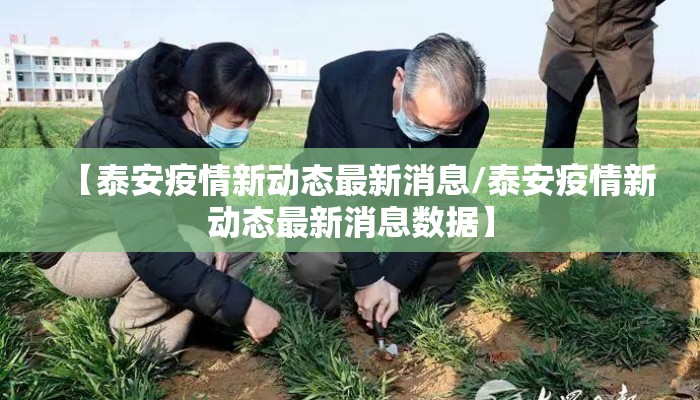 【泰安疫情新动态最新消息/泰安疫情新动态最新消息数据】
