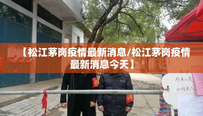 【松江茅岗疫情最新消息/松江茅岗疫情最新消息今天】
