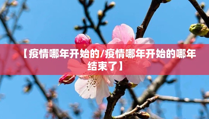 【疫情哪年开始的/疫情哪年开始的哪年结束了】