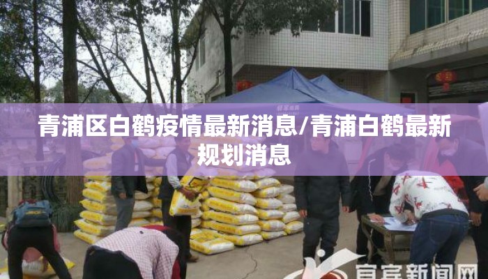 青浦区白鹤疫情最新消息/青浦白鹤最新规划消息