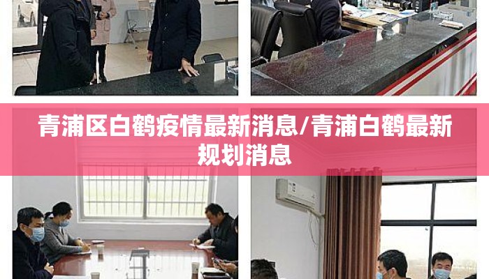 青浦区白鹤疫情最新消息/青浦白鹤最新规划消息