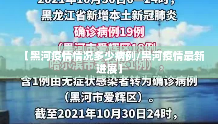 【黑河疫情情况多少病例/黑河疫情最新进展】