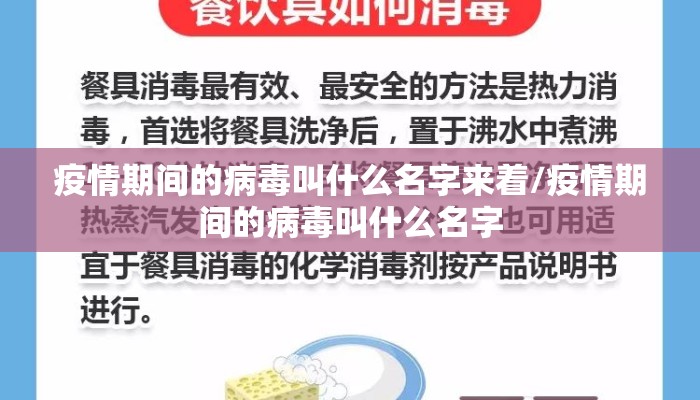 疫情期间的病毒叫什么名字来着/疫情期间的病毒叫什么名字
