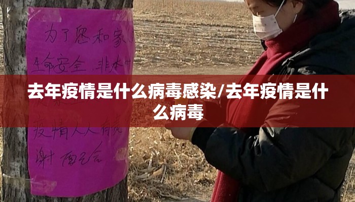去年疫情是什么病毒感染/去年疫情是什么病毒