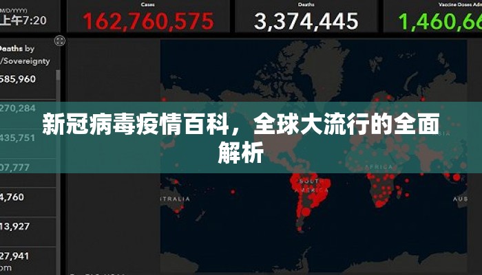 新冠病毒疫情百科，全球大流行的全面解析