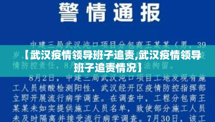 【武汉疫情领导班子追责,武汉疫情领导班子追责情况】