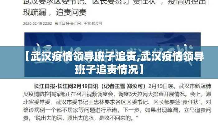 【武汉疫情领导班子追责,武汉疫情领导班子追责情况】