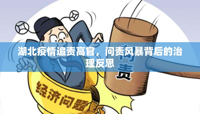 湖北疫情追责高官，问责风暴背后的治理反思
