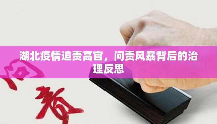 湖北疫情追责高官，问责风暴背后的治理反思