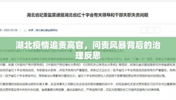 湖北疫情追责高官，问责风暴背后的治理反思