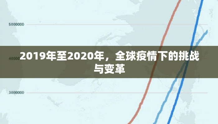 2019年至2020年，全球疫情下的挑战与变革