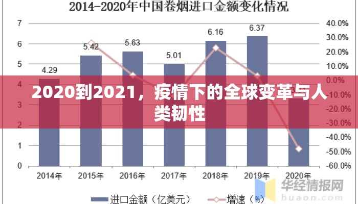 2020到2021，疫情下的全球变革与人类韧性