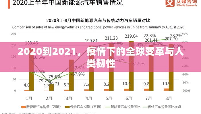 2020到2021，疫情下的全球变革与人类韧性