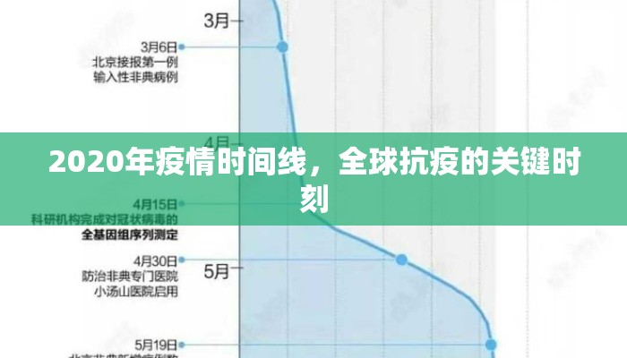2020年疫情时间线，全球抗疫的关键时刻