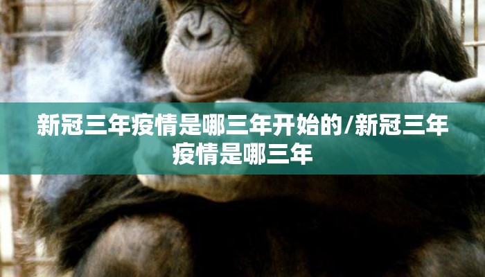 新冠三年疫情是哪三年开始的/新冠三年疫情是哪三年