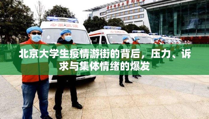 北京大学生疫情游街的背后，压力、诉求与集体情绪的爆发