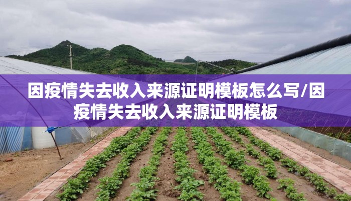 因疫情失去收入来源证明模板怎么写/因疫情失去收入来源证明模板