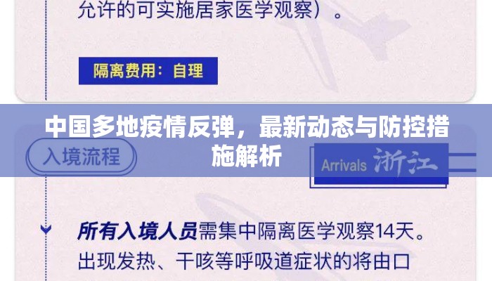 中国多地疫情反弹，最新动态与防控措施解析