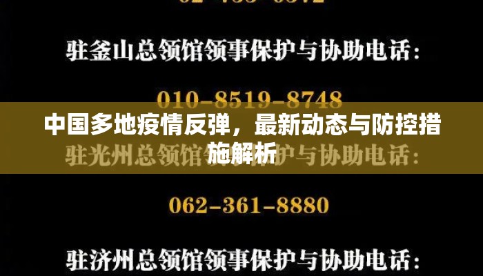 中国多地疫情反弹，最新动态与防控措施解析