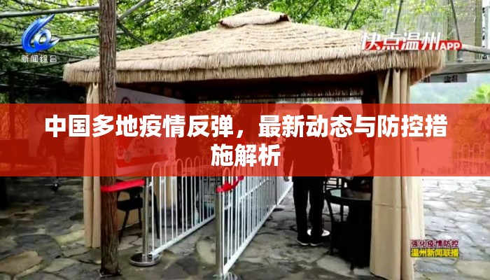 中国多地疫情反弹，最新动态与防控措施解析