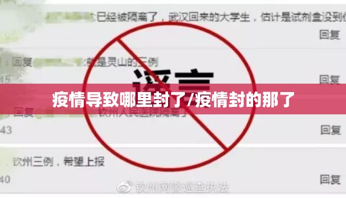 疫情导致哪里封了/疫情封的那了
