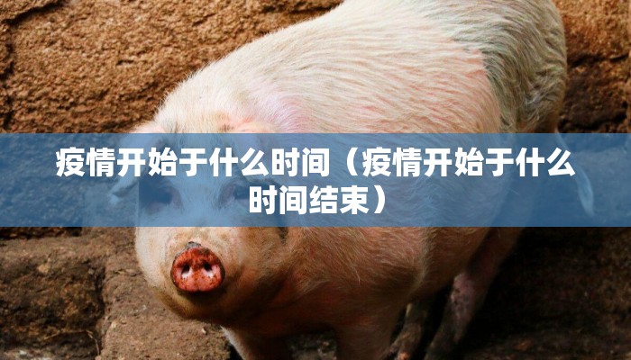 疫情开始于什么时间（疫情开始于什么时间结束）