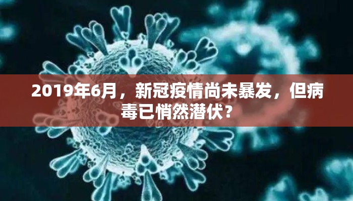 2019年6月，新冠疫情尚未暴发，但病毒已悄然潜伏？
