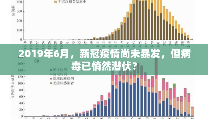 2019年6月，新冠疫情尚未暴发，但病毒已悄然潜伏？