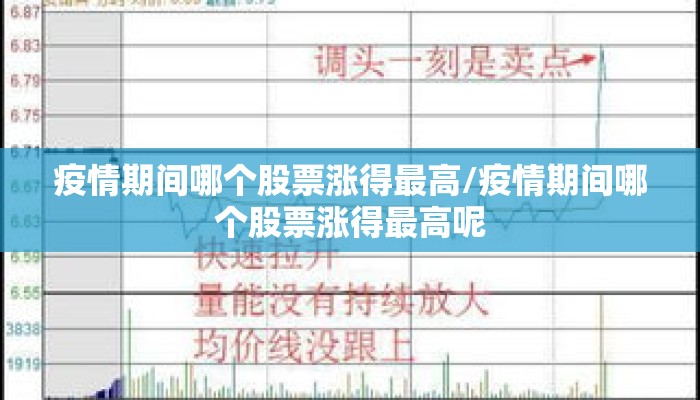 疫情期间哪个股票涨得最高/疫情期间哪个股票涨得最高呢