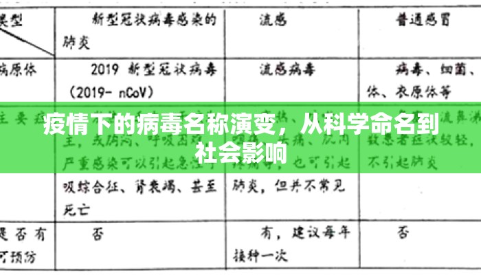 疫情下的病毒名称演变，从科学命名到社会影响