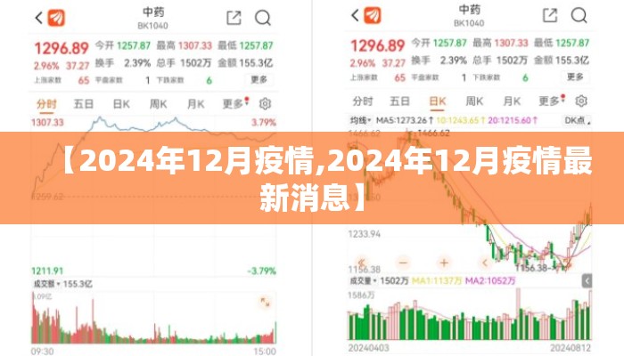 【2024年12月疫情,2024年12月疫情最新消息】