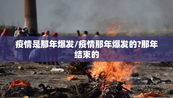 疫情是那年爆发/疫情那年爆发的?那年结束的