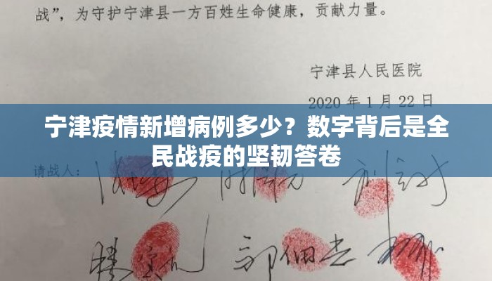 宁津疫情新增病例多少？数字背后是全民战疫的坚韧答卷