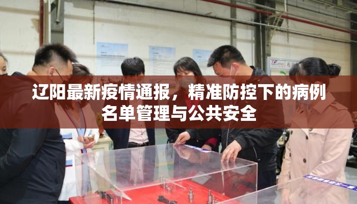 辽阳最新疫情通报，精准防控下的病例名单管理与公共安全