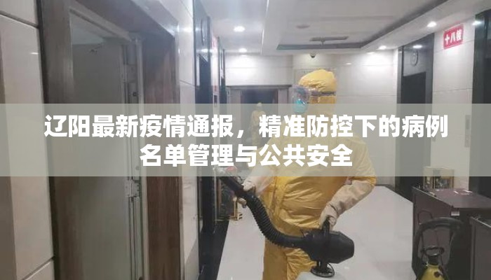 辽阳最新疫情通报，精准防控下的病例名单管理与公共安全