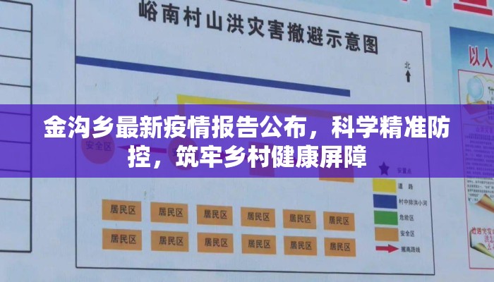 金沟乡最新疫情报告公布，科学精准防控，筑牢乡村健康屏障