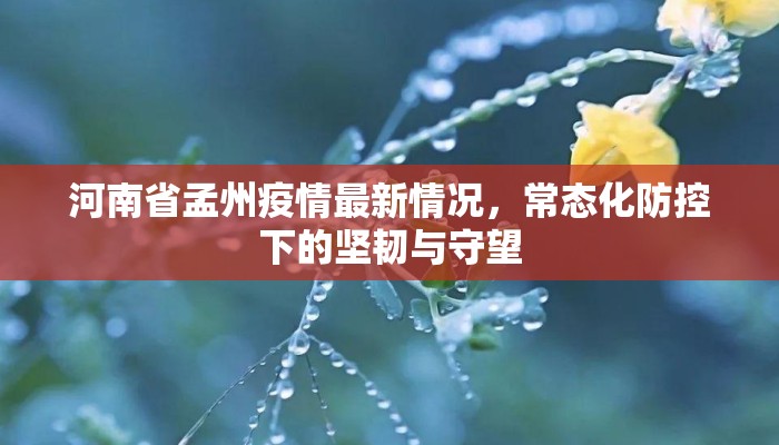 河南省孟州疫情最新情况，常态化防控下的坚韧与守望