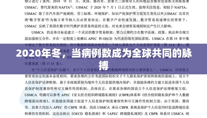 2020年冬，当病例数成为全球共同的脉搏
