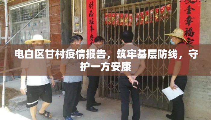 电白区甘村疫情报告，筑牢基层防线，守护一方安康