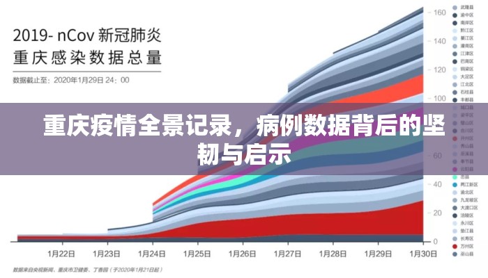 重庆疫情全景记录，病例数据背后的坚韧与启示