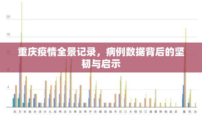 重庆疫情全景记录，病例数据背后的坚韧与启示